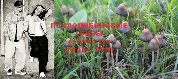 шишки Нея