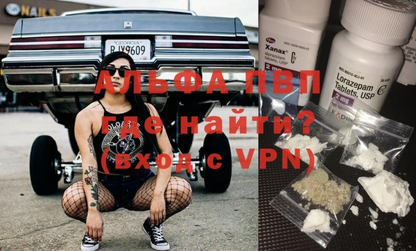 хмурый Нефтекумск