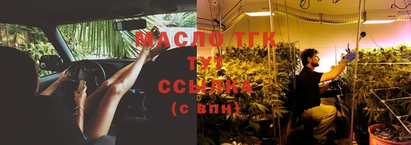 шишки Нея
