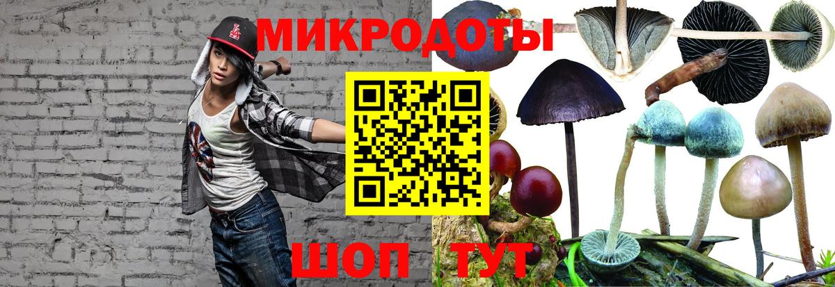 Галлюциногенные грибы мицелий  Кимовск  Галлюциногенные грибы ЛСД 