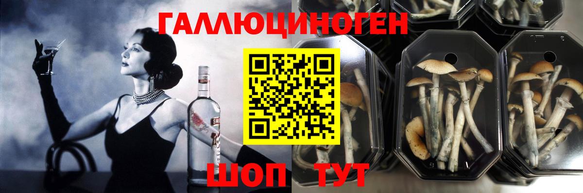 МАРИХУАНА Кимовск