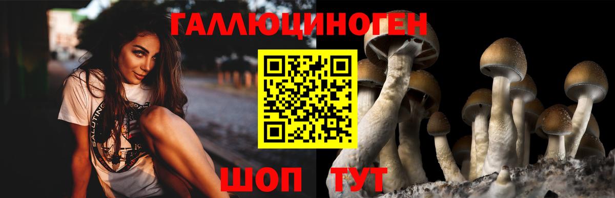 Кимовск  Псилоцибиновые грибы мухоморы  Вход с VPN 