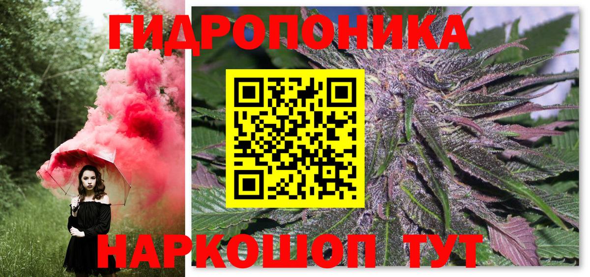 Шишки марихуана THC 21%  Бошки марихуана индика  Вход с VPN  Бошки марихуана индика  Кимовск 